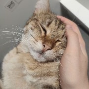 🌌 ~ C3leste's avatar