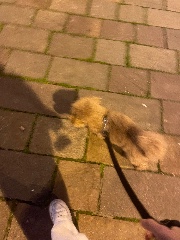 Alice❤️‍🔥's avatar