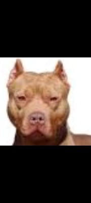 Ludovica❤️‍🔥❤️‍🔥's avatar