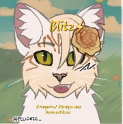 Blitz ⚡️ 's avatar