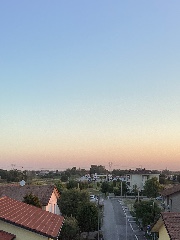 VioletLife’s's avatar