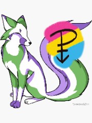 🌹Morgan 🏳️‍🌈's avatar