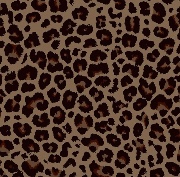 👸🏽💍's avatar