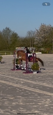 Un cheval 🐴une vie❤️🐎😘's avatar