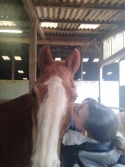 La folle du cheval 🐴's avatar