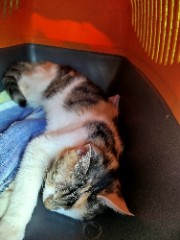 Lou🎱😍🐆's avatar