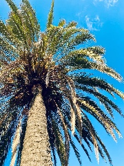 Mimsl🫶🏻🎀🫶🏻's avatar