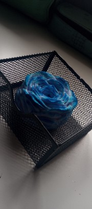 Gaietta🌙's avatar