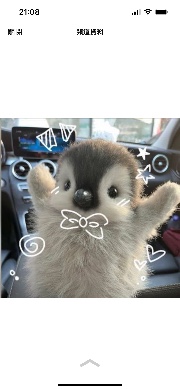  ☆ 𝑪𝒉𝒊𝒏𝒈 𝑪𝒉𝒊𝒏𝒈 ☆'s avatar