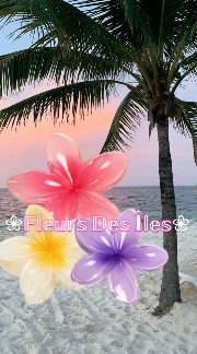 🌴🌺•Fleurs Des Îles•🌴🌺's avatar