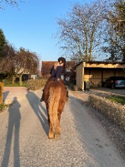 🤍✨️🌷J🌷✨️🤍's avatar