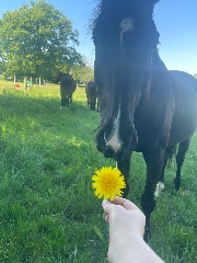 Mochi_f4r_you's avatar