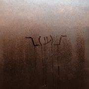 ConnorWisegirl11.✨'s avatar