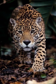 Rebby🫶🏻's avatar