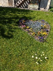 Miauchilly 's avatar