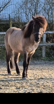 Julia 💖😍🤪's avatar