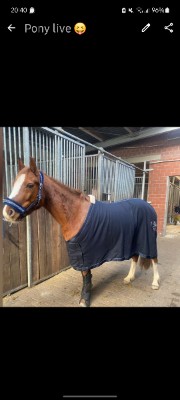 Ponylive 🎀💗🩷's avatar