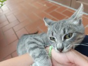 🩵💫Chiara💫🩷's avatar