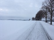 brathühnchen's avatar