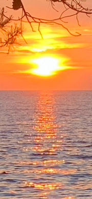 Soso, live 's avatar