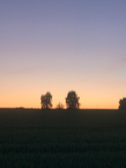 🍁Creative Chaos✨'s avatar