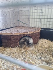 Finjaaa 💕's avatar