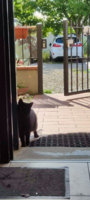 Auroraaa 💋💋's avatar