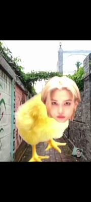 ✨ Little Felix ✨'s avatar