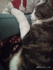 💖🌺LaGurly_Love{Océane}'s avatar