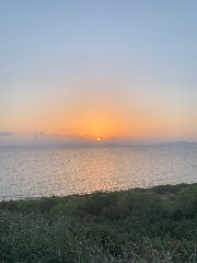 Glory🫧🐬's avatar