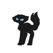 Pelage de Nuit's avatar