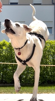 R. I. P. Nuria lovev 's avatar