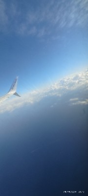 🫶🏼🐻's avatar