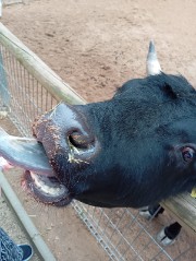 Izz Savannah live's avatar