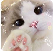 🥛Milky way🍓's avatar