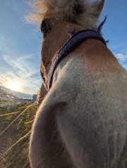 The. Magic. N.'s avatar