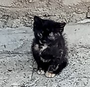 🖤MAGHY🖤's avatar