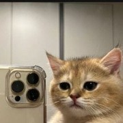 La_ Violett🎀🌊's avatar