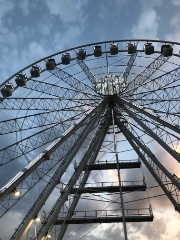 🌷☀️Sunny☀️🌷's avatar