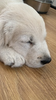 𝐆𝐫𝐚𝐜𝐞𝐫𝐞𝐧𝐚's avatar