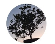 Il Pollice verde official's avatar