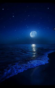 Il triangolo delle Bermuda's avatar