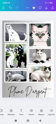 Plume d'argent 's avatar