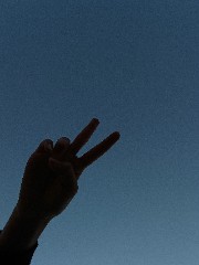 Vanessa softlake 's avatar