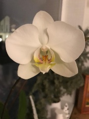 𝐌𝐀𝐑𝐈𝐀.𝐗𝐗𝐱𝐱's avatar