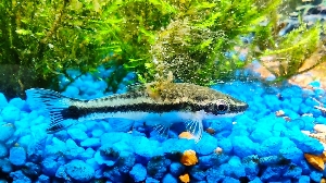 🫶J🤸‍♀️'s avatar