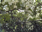 Olli Text meeeee🥰🥰🥰's avatar