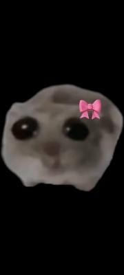 Zoepikastar 's avatar