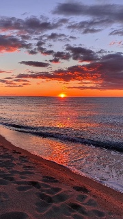 Ally🌺✨'s avatar