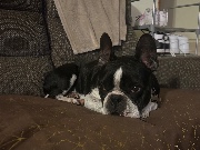 Elektra ❤️'s avatar